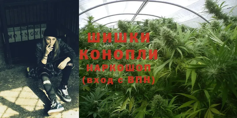 Шишки марихуана SATIVA & INDICA  Боготол 